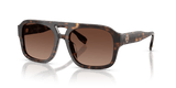 Dark Tortoise / Polar Light Brown Gradient (1964T5)