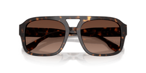 Dark Tortoise / Polar Light Brown Gradient (1964T5)