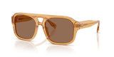 Yellow/Brown / Solid Brown (205584)