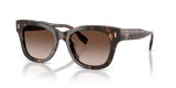 Dark Tortoise / Brown Gradient (196413)