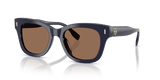 Navy / Solid Brown (199373)