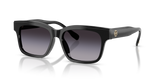 Black / Grey Gradient (17098G)