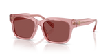 Transparent Light Pink / Wine (202175)