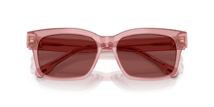 Transparent Light Pink / Wine (202175)