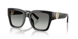 Black / Grey Gradient (170911)