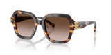 Dark Tortoise / Brown Gradient (207213)