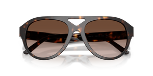 Dark Tortoise / Brown Gradient (196413)