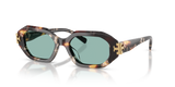 Dark Tortoise / Petrol Green (207282)