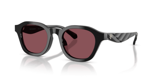 Black / Dark Violet (170975)