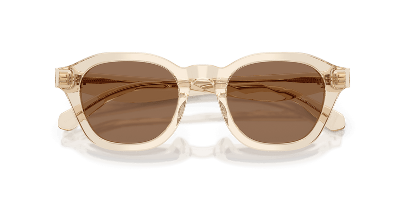 Tory Burch TY7235D in Transparent Beige / Brown (197773) - Alternate View