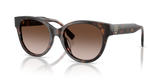 Dark Tortoise (196413)