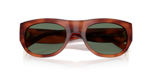 Soft Amber Tortoise / Dark Green (208382)