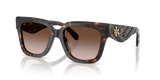 Dark Tortoise / Brown Gradient (196413)