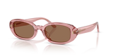 Transparent Light Pink / Solid Brown (202173)