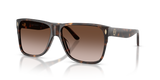 Dark Tortoise / Brown Gradient (196413)