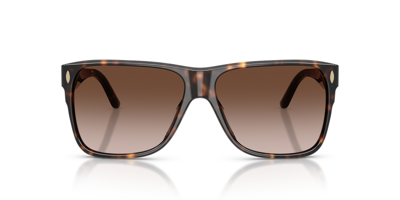 Tory Burch TY7242U in Dark Tortoise - Alternate View