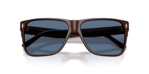 Dark Brown / Solid Blue (208880)