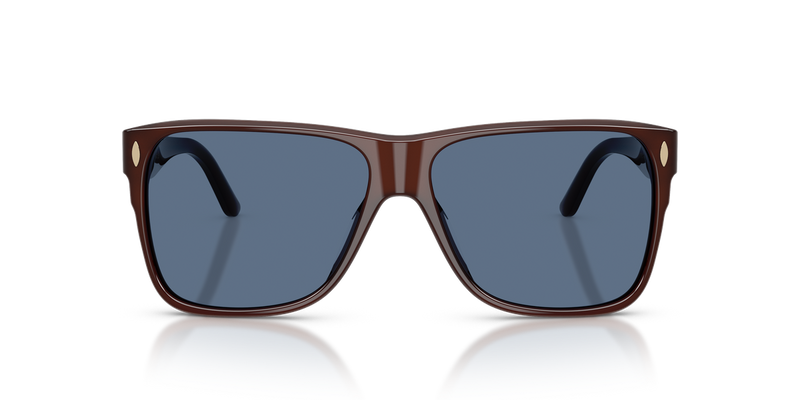Tory Burch TY7242U in Dark Brown - Alternate View