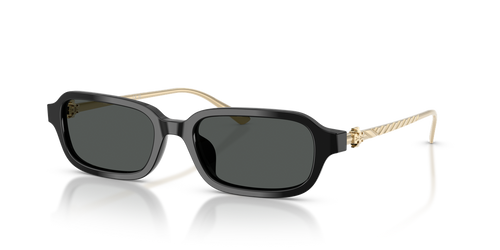 Black / Dark Grey (170987)