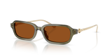 Transparent Olive / Solid Brown (208573)