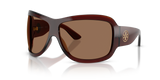 Transparent Red Brown / Brown (209573)