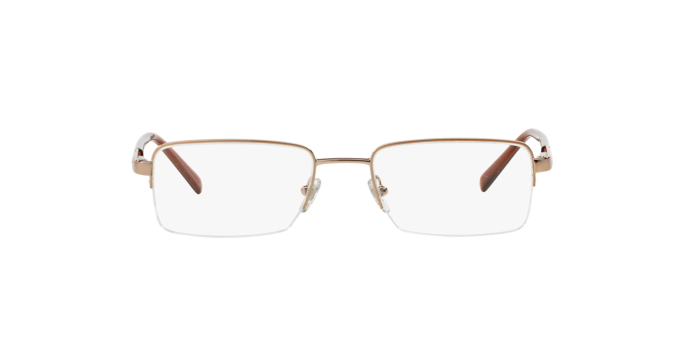 Versace VE1066 in Bronze / Demo Lens (1053) - Alternate View