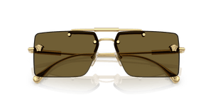 Gold / Dark Brown (100273)