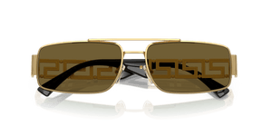 Gold / Dark Brown (100273)