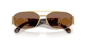Gold / Dark Brown (100273)