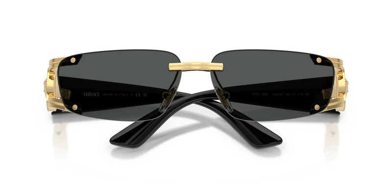 Versace VE2291 in Gold / Dark Grey (100287) - Alternate View