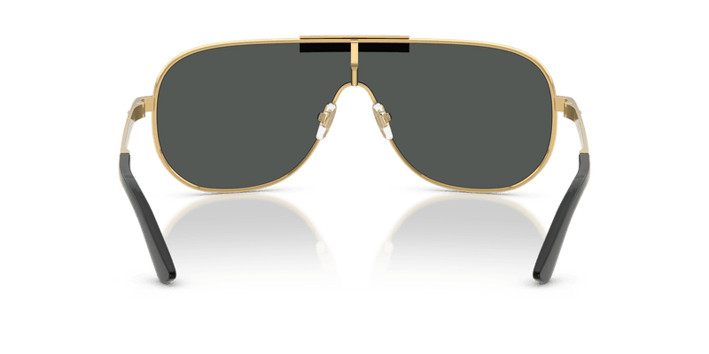 Versace VE2293 in Gold / Dark Grey (100287) - Alternate View