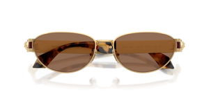 Gold Versace / Dark Brown (152373)