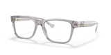 Transparent Grey / Demo Lens (593)
