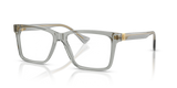 Transparent Grey / Demo Lens (5496)