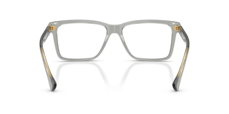 Versace VE3328 in Transparent Grey / Demo Lens (5496) - Temple Detail