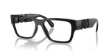Black / Demo Lens (5360)