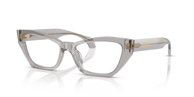 Versace VE3373U in Light Transparent Grey (593) - Alternate View