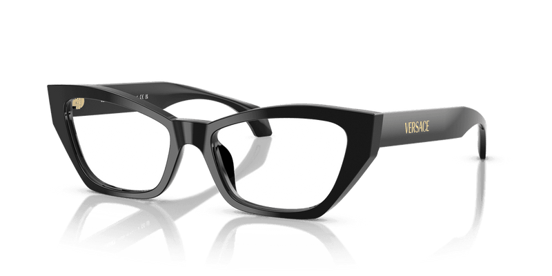 Versace VE3373U in Black (GB1) - Alternate View