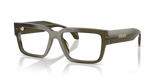 Transparent Dark Green / Demo Lens (5542)