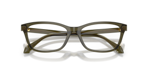 Transparent Dark Green / Demo Lens (5542)
