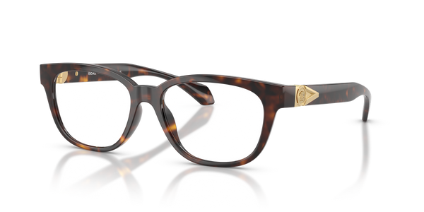 Versace VE3376U