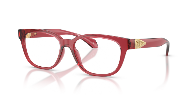 Versace VE3376U in Transparent Red / Demo Lens (5523) - Alternate View