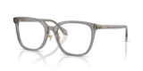 Transparent Grey / Demo Lens (5510)