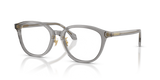 Transparent Grey / Demo Lens (5510)