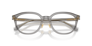 Transparent Grey / Demo Lens (5510)