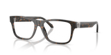 Brown Tortoise / Demo Lens (5528)