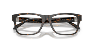 Brown Tortoise / Demo Lens (5528)
