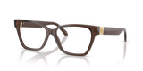 Transparent Brown / Demo Lens (5332)