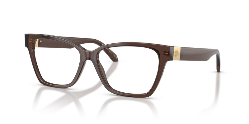 Versace VE3382 in Transparent Brown / Demo Lens (5332) - Alternate View