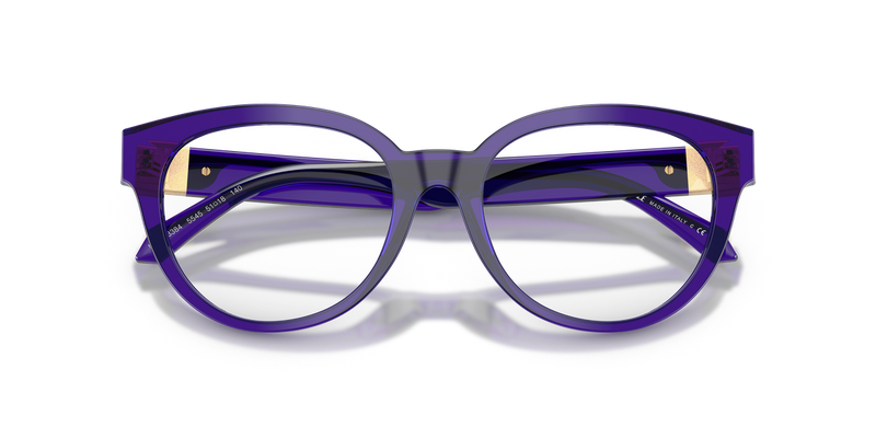Versace VE3384 in Transparent Dark Violet / Demo Lens (5545) - Alternate View
